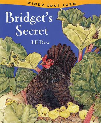 Bridget's Secret - Dow, Jill