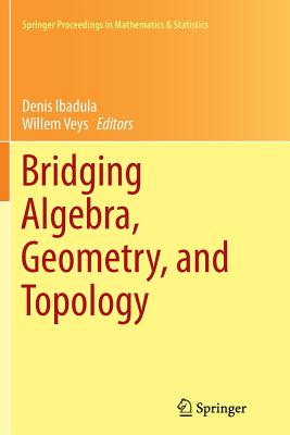 Bridging Algebra, Geometry, and Topology - Ibadula, Denis (Editor), and Veys, Willem (Editor)