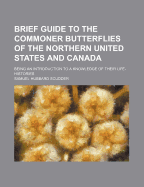 Brief Guide to the Commoner Butterflies of the Northern United States and Canada