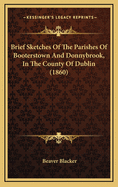 Brief Sketches of the Parishes of Booterstown and Donnybrook, in the County of Dublin: With an Appendix, Containing Notes and Annals