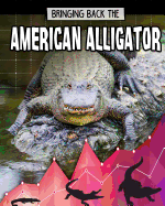 Bringing Back the American Alligator