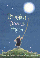 Bringing Down The Moon