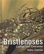 Bristlenoses: Catfish with Character