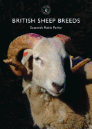 British Sheep Breeds