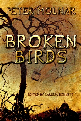 Broken Birds - Molnar, Peter, and Bennett, Larissa (Editor), and Vasquez, Lisa (Cover design by)