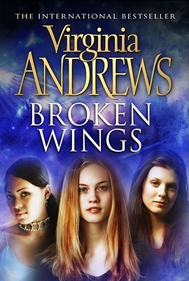 Broken Wings - Andrews, Virginia