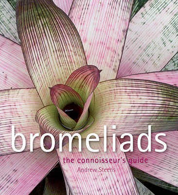 Bromeliads - Steens, Andrew