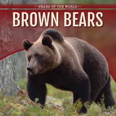 Brown Bears - Fitzgerald, Lee