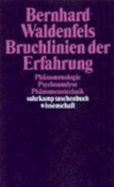 Bruchlinien Der Erfahrung - Waldenfels, Bernhard