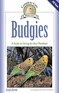 Budgies: A Guide to Caring for Your Parakeet