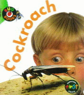 Bug Books: Cockroach