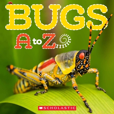 Bugs A to Z - Lawton, Caroline