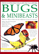 Bugs and Minibeasts