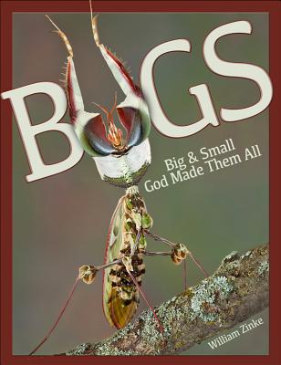 Bugs Big & Small: God Made Them All - Zinke, William