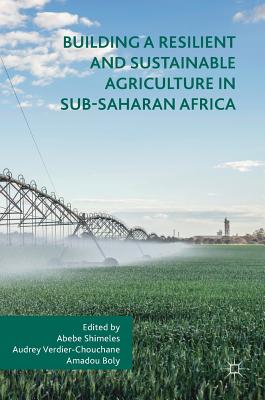 Building a Resilient and Sustainable Agriculture in Sub-Saharan Africa - Shimeles, Abebe (Editor), and Verdier-Chouchane, Audrey (Editor), and Boly, Amadou (Editor)