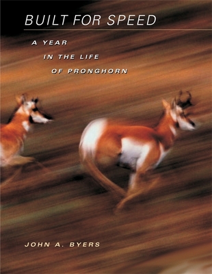 Built for Speed: A Year in the Life of Pronghorn - Byers, John A
