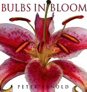 Bulbs in Bloom