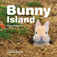 Bunny Island