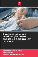 Bupivaca?na e sua combina??o como anestesia epidural em caprinos