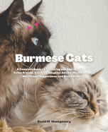 Burmese Cats: A Complete Guide to Nurturing and Appreciating Your Feline Friends, Covering Adoption Advice, Health Insights, Nutritional Suggestions, and Breed Diversity