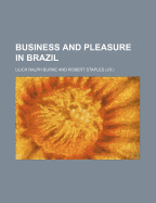 Business and Pleasure in Brazil