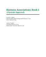 Business Associations: Book 1: A Systems Approach