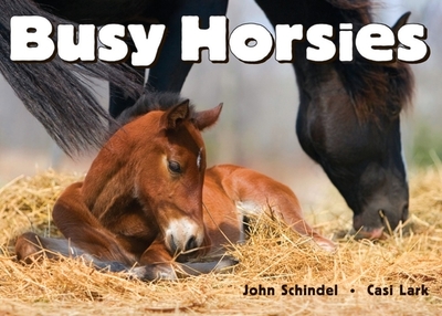 Busy Horsies - Schindel, John, and Lark, Casi (Photographer)