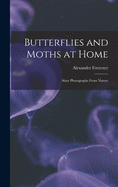 Butterflies and Moths at Home: Sixty Photographs From Nature