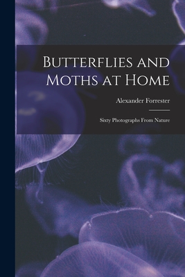 Butterflies and Moths at Home: Sixty Photographs From Nature - Forrester, Alexander D 1787 (Creator)