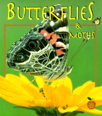 Butterflies and Moths - Kalman, Bobbie