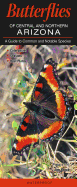 Butterflies of Central and Northern Arizona: A Guide to Common and Notable Species
