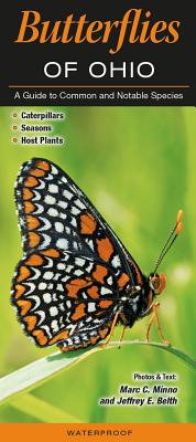 Butterflies of Ohio: A Guide to Common and Notable Species - Minno, Marc C, and Belth, Jeffrey E