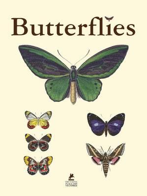 Butterflies - 