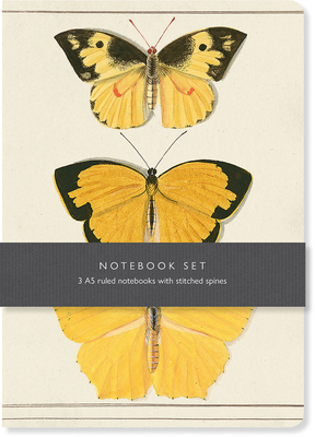 Butterfly Notebook Set: 3 A5 Ruled Notebooks with Stitched Spines - Bodleian Library the