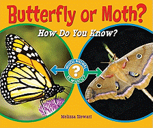 Butterfly or Moth?: How Do You Know?
