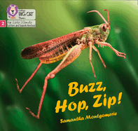 Buzz, Hop, Zip!: Phase 2 Set 5