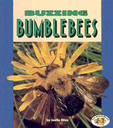 Buzzing Bumblebees