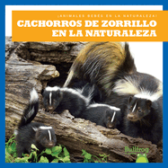 Cachorros de Zorrillo En La Naturaleza (Skunk Kits in the Wild)