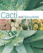 Cacti and Succulents - Mace, Suzanne, and Mace, Tony