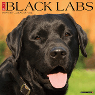 CAL 25 BLACK LABS 2025 WALL