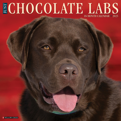 CAL 25 CHOCOLATE LABS 2025 WALL - WALL