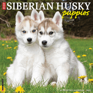 CAL 25 SIBERIAN HUSKY PUPPIES 2025 WALL