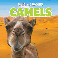 Camels