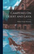 Campfires On Desert and Lava