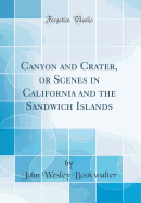 Canyon and Crater, or Scenes in California and the Sandwich Islands (Classic Reprint)