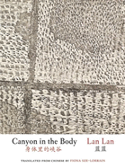 Canyon in the Body