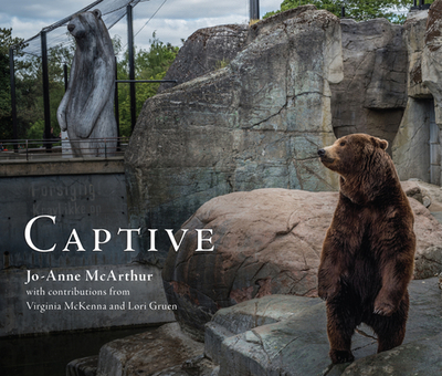 Captive - McArthur, Jo-Anne