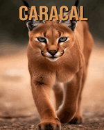 Caracal: Learn About Caracal and Enjoy Amazing Facts & Pictures