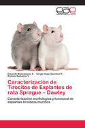 Caracterizacion de Tirocitos de Explantes de Rata Sprague - Dawley