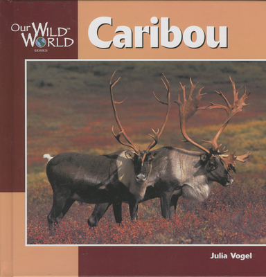 Caribou - Vogel, Julia